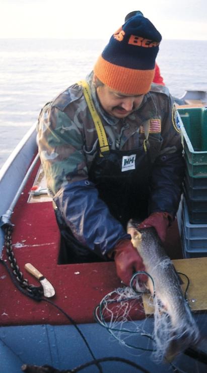GLIFWC performs annual lake trout assessments in Lake Superior. Tribally tagged lake trout at Red Cliff s Buffalo Bay Fish Market. GLIFWC wardens routinely monitor the treaty fishery in Lake Superior.