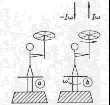 Explntion: 1. Mking the wheel turn, it obtins n ngulr velocity nd n ngulr momentum L=I.