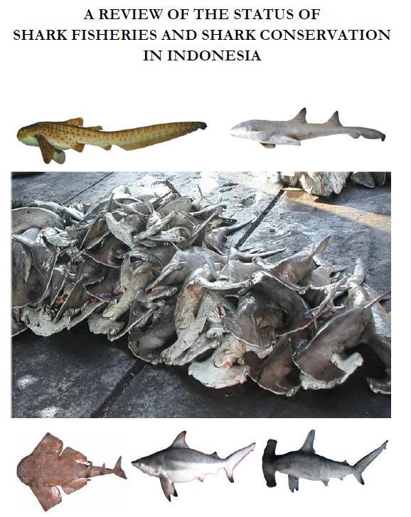 EVALUATION OF NPOA IMPLEMENTATION IN 2010-2014 1) Status of national shark fishery (2013) 2) Protection of endangered