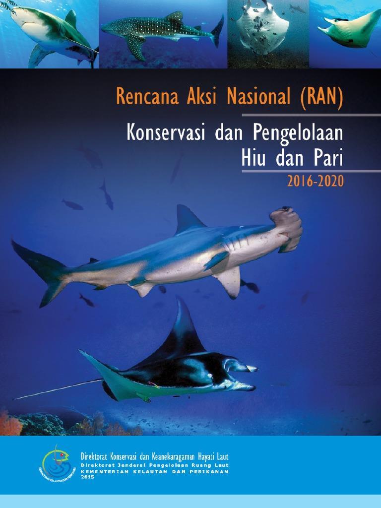 CONCLUSION NPOA Conservation and Management of Sharks and Rays 2016-2020 Indonesia s commitment: to conserve sharks and rays