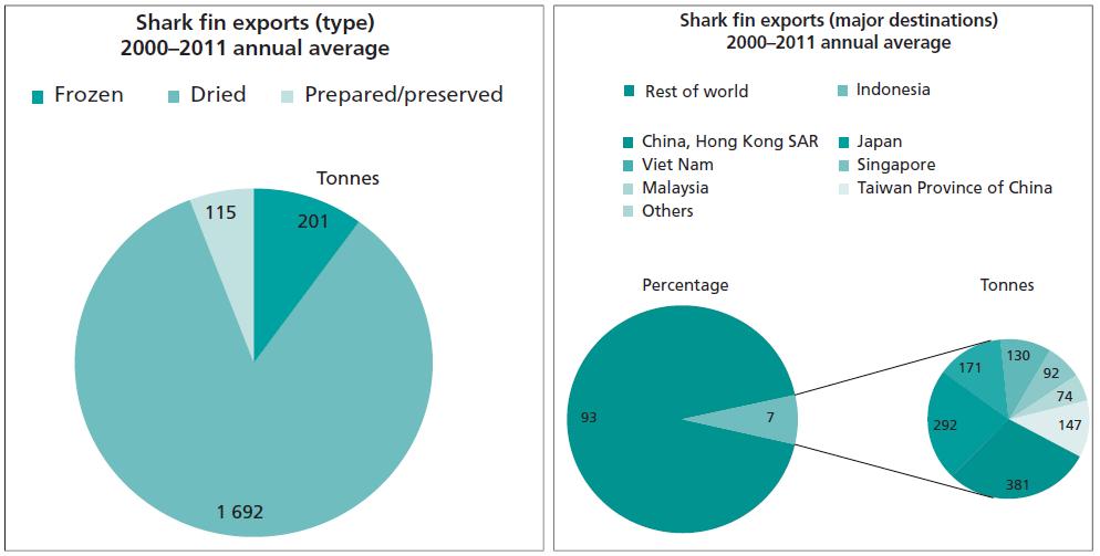 Introduction Export & total economic value of shark
