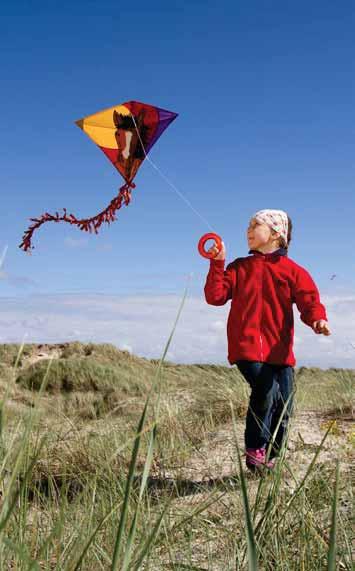 DIAMOND KITES Eddys Our classic diamond kites are easy to assemble, easy to fly and come with beautiful graphics. All diamond kites come ready to fly including kite tail, handle and line.