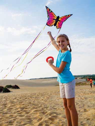 100300 4 031169 166807 Butterfly "R" kites also available in