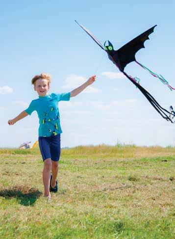 FLYING CREATURES Dragonfly Kite Art. Nr. 105104 Bat Red Art. Nr. 100034 Bat Black "S" Art.