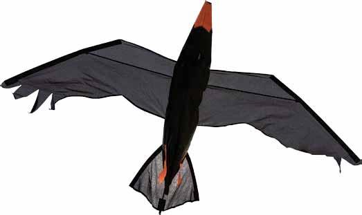 Joel Scholz 3D Kites This incredible kite selection of 3D birds and flying dinosaurs combines magnificent