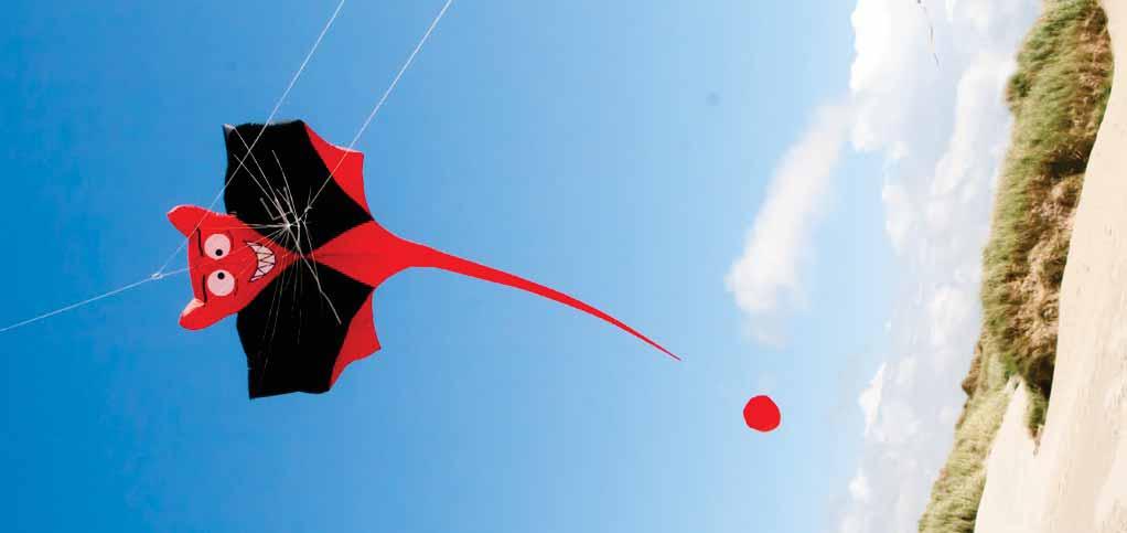 (12-49 km/h l 8-31 mph), 8+ Looking for a day of fun with the family? Pick up our Red Baron 3D airplane kite and enjoy it flying.