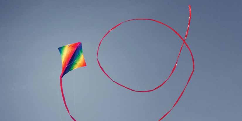 BEGINNER Beginners stuntkite, slow and easy to handle. Virtually unbreakable and a good choice for young pilots. Including 15 m tube tail.