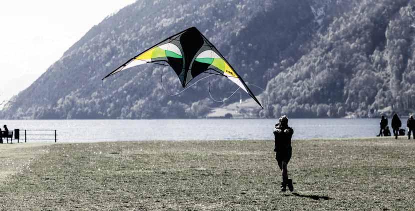 It masters even simple standard tricks easily. Let s dance! Perfectly stable and forgiving for new pilots, the Jive III is a high performance sport kite you will never outgrow.