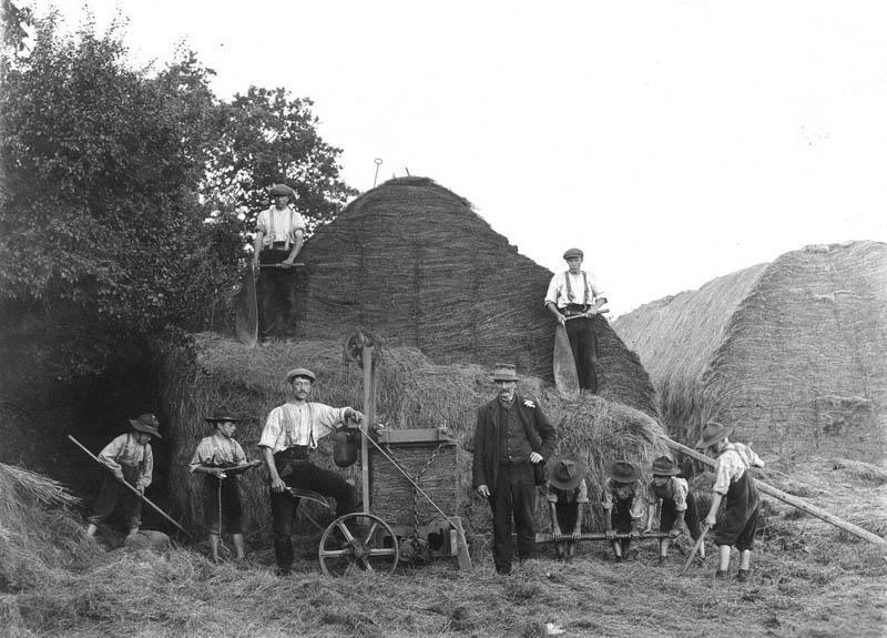 Agricultural labourers