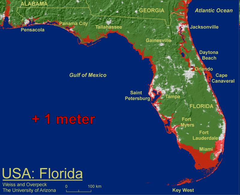 Florida s Unique