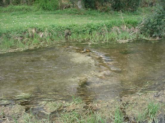 . A D shaped deflector in a small limestone stream Brushwood bundles can usefully be introduced along the margins of the channel, creating excellent refuge areas for fry.