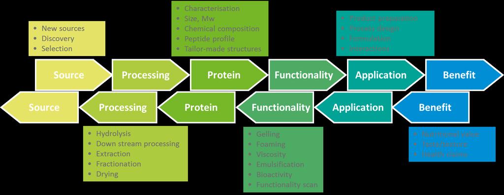 PROTEIN FUNCTIONALITY