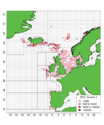 Pelagic fishery changes Mackerel stock has expanded N & W Distribution extended as far west as SE Greenland Increased catches in northern areas with high catches in Iceland & Faroes (where catches