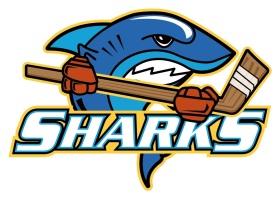 Name The club will be referred to as Reading Sharks Skater Hockey Club, or Reading Sharks for short.
