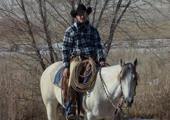 Maddie has a sensitive feel with a good neck rein and prefers to ride without a bit. She stands quiet for the farrier and has no problems with being hauled in a trailer.