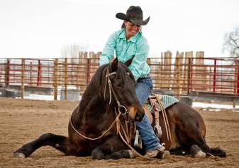 Rumor has done a little bit of everything in our short time together, including reining, cutting, roping, jumping, trails, bareback riding, and obstacles.