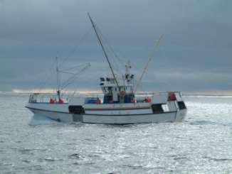 Dredges Used mainly in the UK for scallops. The vessels and rigging are very similar to that of beam trawling with the beam trawls being replaced by multiple dredges.