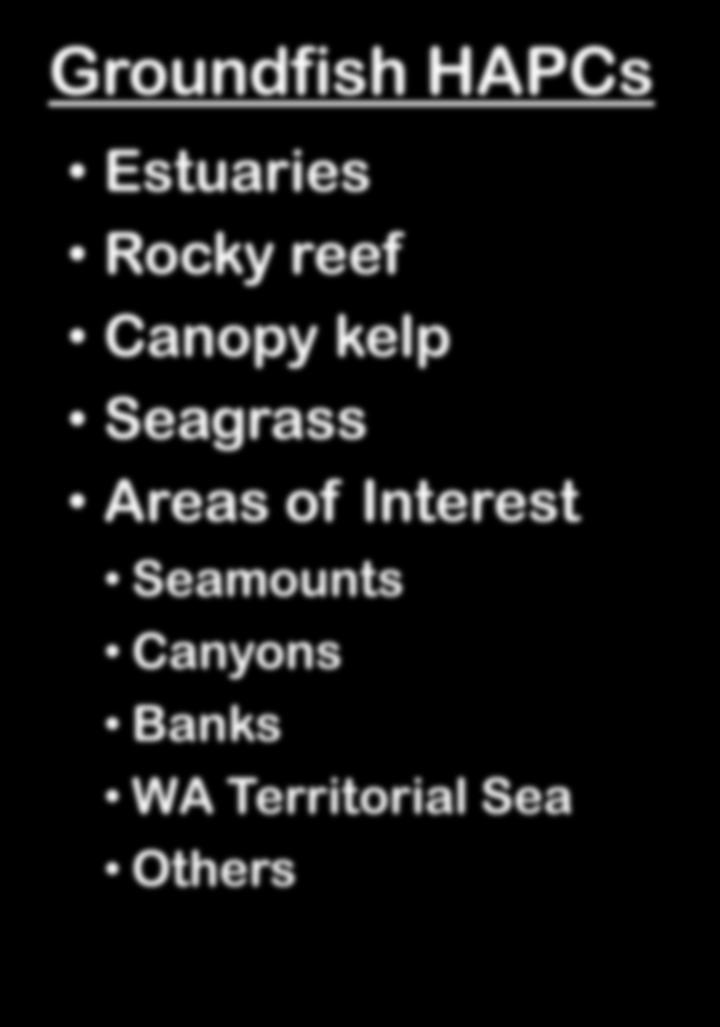 Areas of Interest Seamounts