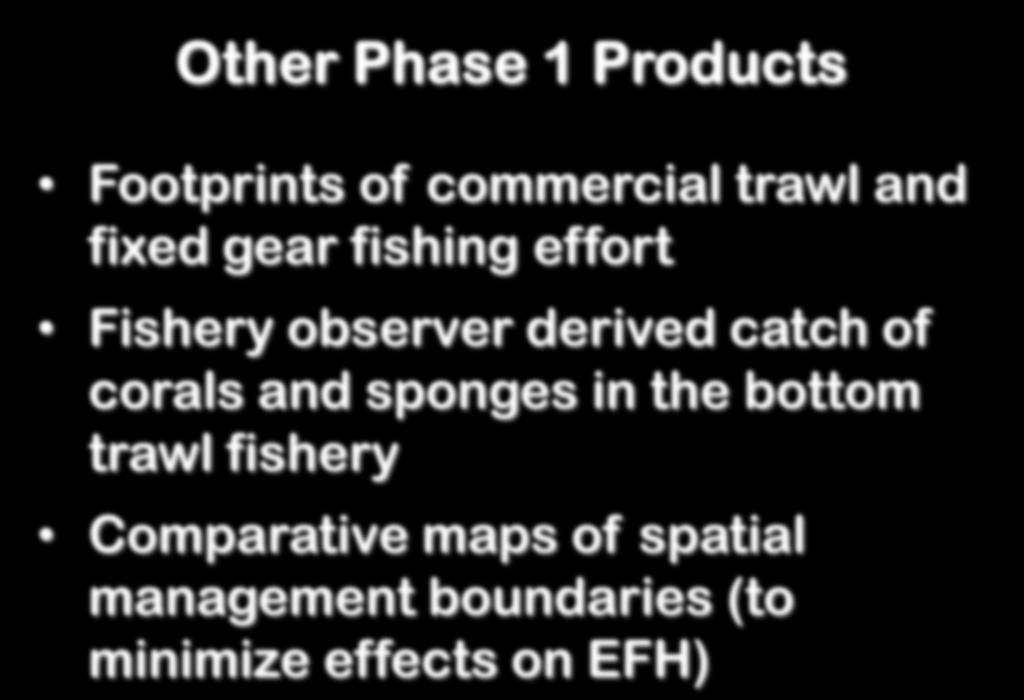 Other Phase 1 Products Footprints of commercial trawl and fixed gear fishing effort Fishery observer derived catch of
