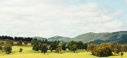 The Hunter Valley is full of hidden gems from family owned wineries and breweries, to delicious food created by a myriad of restaurants and boutique food producers.