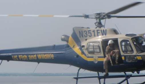 Hog Control Northwest LA Aerial Gunning Project Year Killed