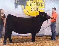 and Owned Female Minnesota Jr Angus Field Day