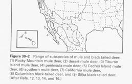 , Canada, and northern Mexico Popular and challenging game animal USFWS survey 2001: More than 4 million hunters in 18 states Includes hunting for other species Mule deer most important Spent over $7