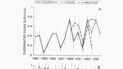 Decline in 1990s Investigated demographic processes to understand factors causing decline JWM 63:315-325 Fawn survival overwinter and