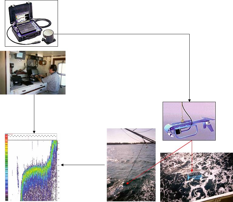 Portable hydroacoustic fish schooling assessment system Assessment of