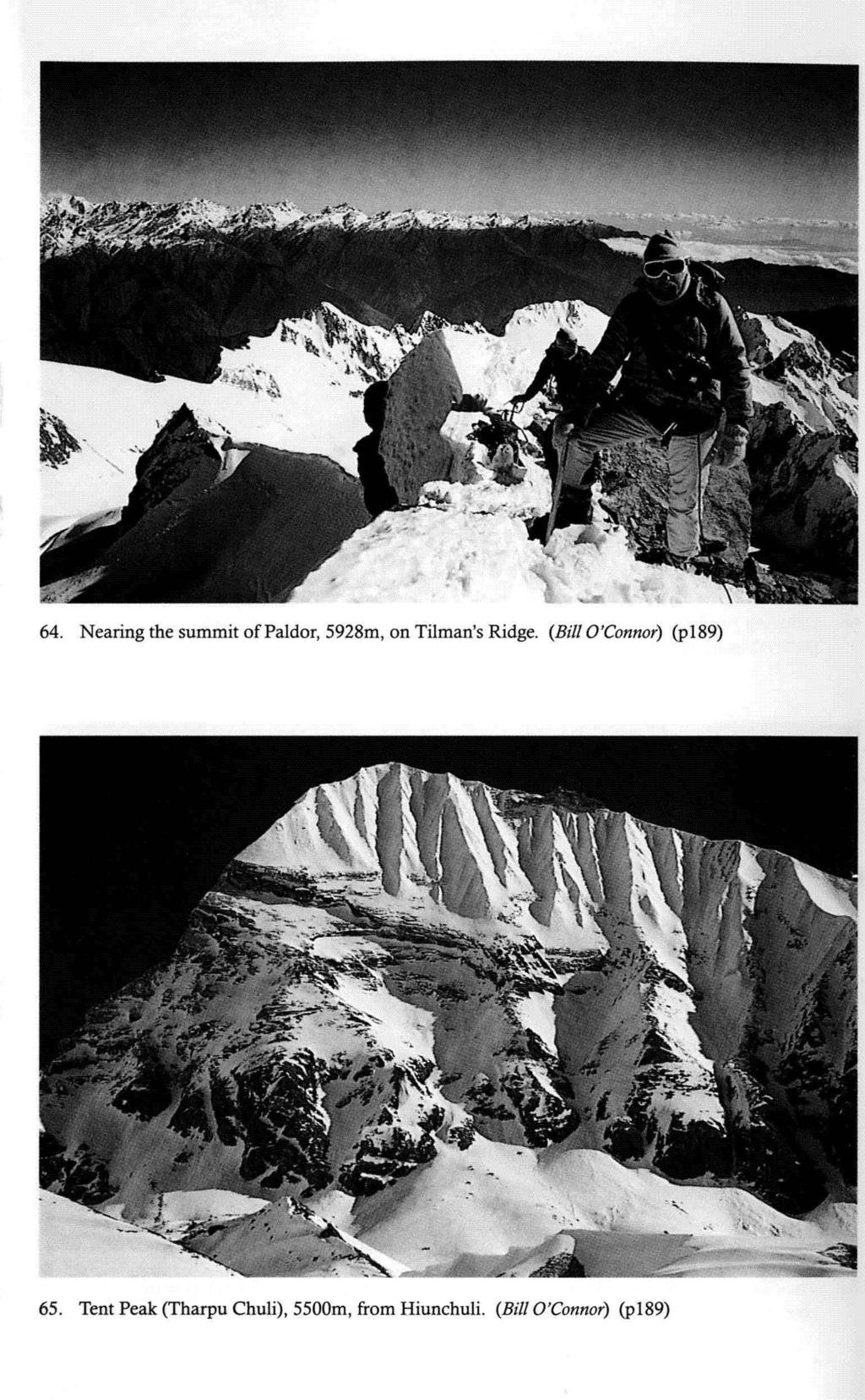 t~. li' 64. Nearing the summit ofpaidor, 5928m, on Tilman's Ridge.