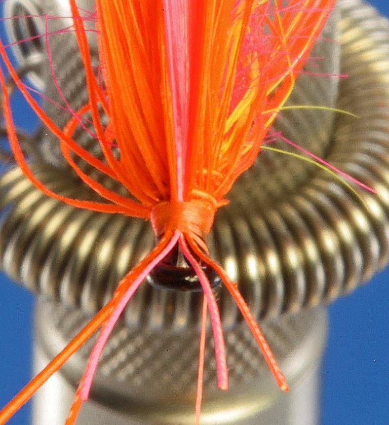 This is a close-up of the four hackle stems of the wing and the stem from the body hackle. Note the two pink stems are enveloped by the two orange stems.
