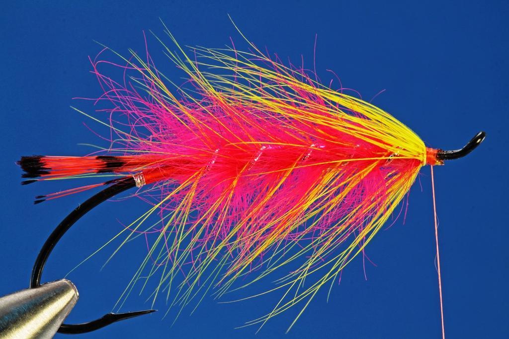 Bring the hackle forward, butting each turn against the trailing edge of the oval