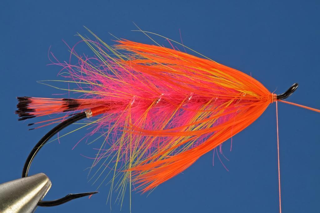 Secure in an orange schlappen hackle and wrap as a collar.