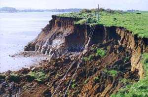 Cliff erosion along Auckland s coastline and erosion at