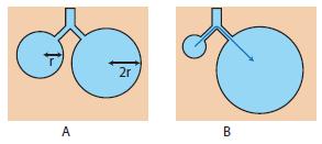 Surface Tension Forces within the Lung The pressure within a truly spherical alveolus (Pa) would normally be calculated as twice the surface tension (Ts) divided by the alveolar radius (r): If Ts is