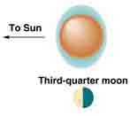 This orientation of Earth and the Sun produces neap tides which have high tides about 20% lower than normal.