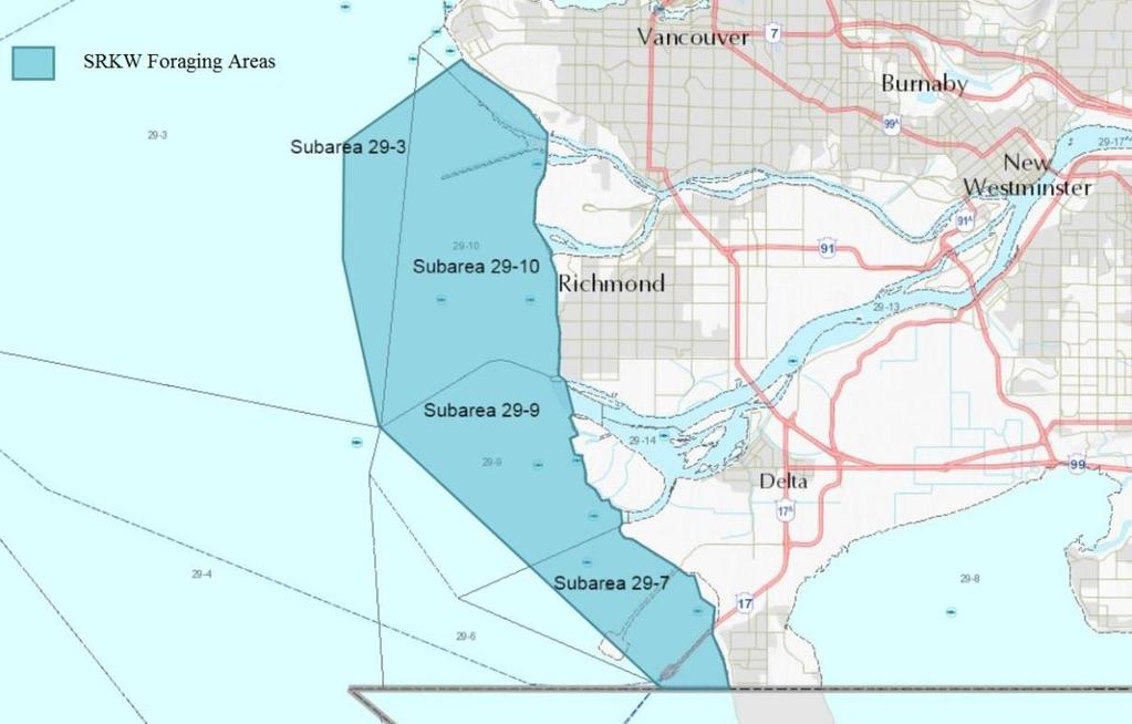 4. Mouth of the Fraser River (Area 29) Figure 5: Mouth of Fraser (Area 29) Map showing SRKW Foraging areas and RCA s.