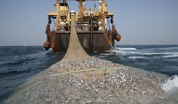Illegal fishing impends the sustainability of fish stocks, damages the ecosystem and deprives African governments of revenue and people of livelihoods.