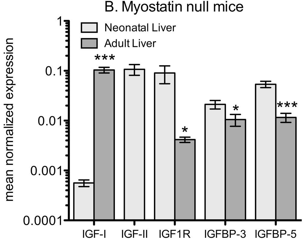 Figure 6. Liver mrna quantification in wild type and mstn -/- mice.