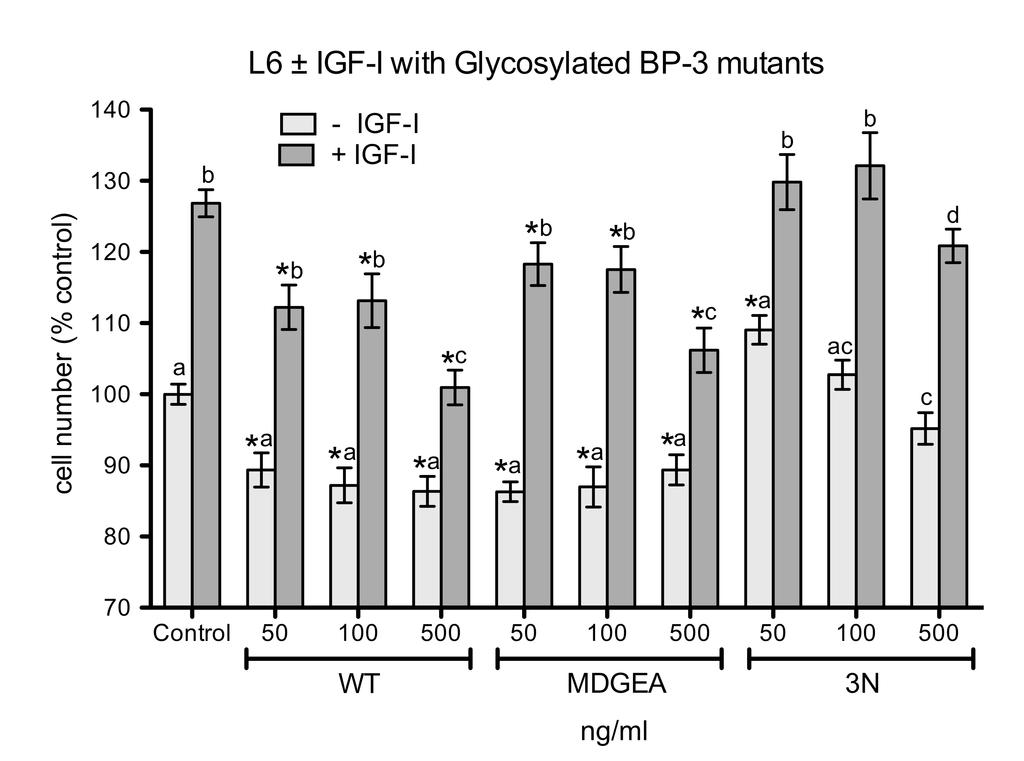 Figure 9. IGFBP-3 inhibition of myoblast proliferation via IGF-dependent and - independent effects.