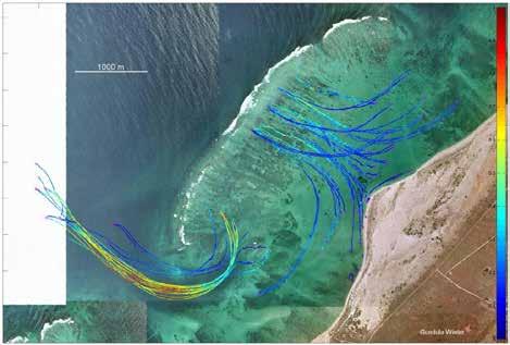Fringing reef shoreline dynamics What mechanisms are leading to accreted shorelines onshore of fringing reefs?
