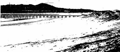 Byron Shire Coastal History 1888 First Jetty built (402 m long) in Byron Bay 1889-96 Numerous shipwrecks from easterly gales and storms 1921 MV Wollongbar wrecked off Byron Bay in easterly gale 1928