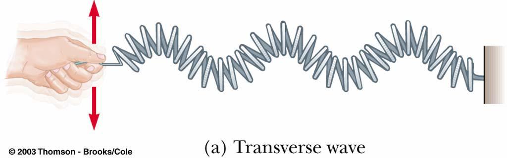 Types of waves Transverse wave: Each piece of the medium moves