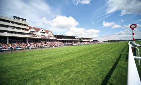 DISCOVER A WORLD OF ENTERTAINMENT AT HAYDOCK PARK A true sense of occasion It s the anticipation, the excitement