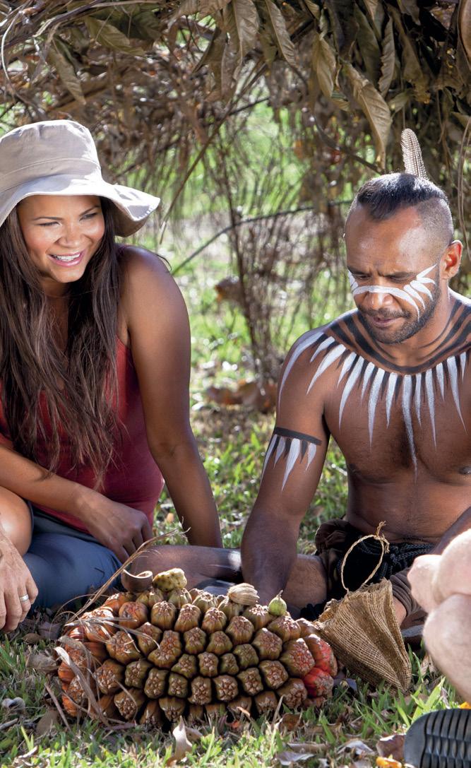 Discover some of the many local nature based tourist attractions, including unique Australian wildlife. See traditional Aboriginal dancers perform or join an Army Duck ride through the rainforest.