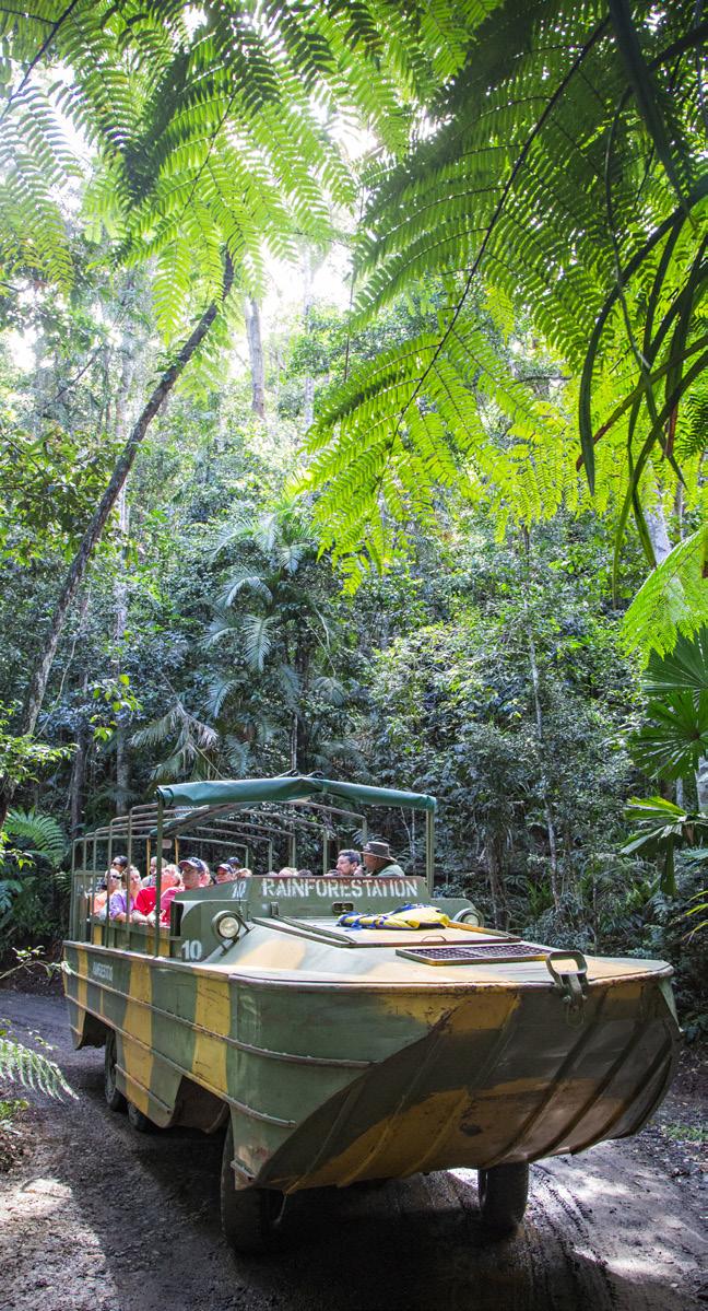 Kuranda TimetableRainforest Experience Travel through the World Heritage-listed rainforest aboard.