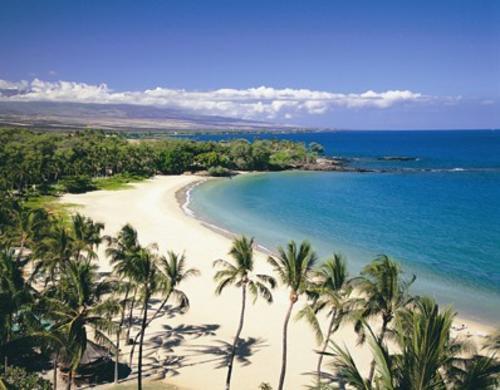 Services in Big Island Transfer to Kona to Kailua Kona $ 75 Kona to Keauhou $ 105 Kona to Waikoloa $ 105 Volcano