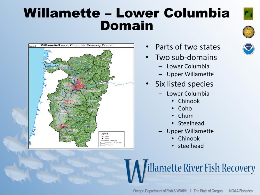 The Willamette / Lower Columbia domain encompasses two states (Washington and Oregon) and includes 6 listed species 4 in the Lower Columbia River sub-domain and 2 in the Upper Willamette River