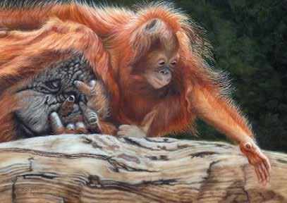 Beverly S. Abbott, SAA Resides: Newport News, Virginia, USA b. 1940, North Carolina, USA Digits Orangutans Oil 4 x 5.