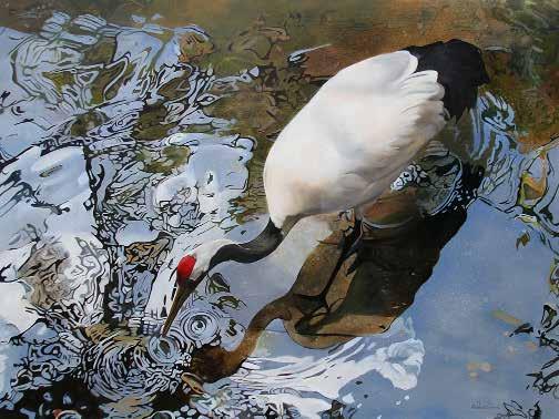 debbie StevenS, SAA Resides: Cypress, Texas, USA b. 1955, Oklahoma, USA Red Crown 5 Red Crown Crane Oil on Birch Panel 36 x 48 The Red Crowned Crane is among the rarest cranes in the world.